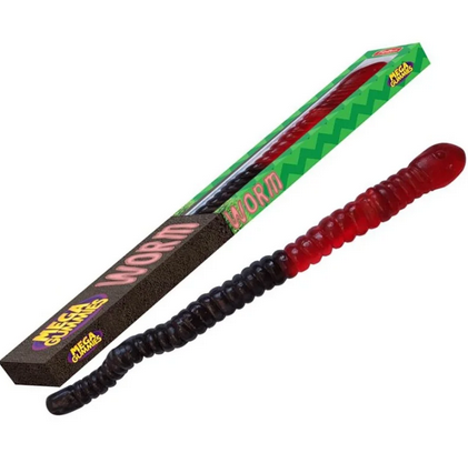 Ver de terre geant 63cm 1kg